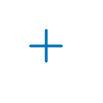 magnify icon